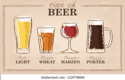 Beer types. A visual guide to types of beer. Various types of beer in recommended glasses. Vector illustration