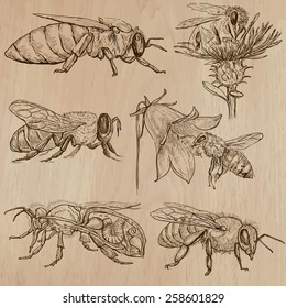 BEES, BEEKEEPING and HONEY. Collection of an hand drawn vector illustrations (pack no.3). Each drawing comprises of three or four layers of lines, the colored background is isolated.