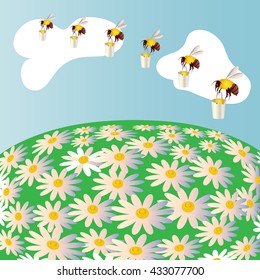 bees collect honey