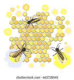 Bees collect honey. The dance of bees around the ulus. healthy diet. Vitamins. Vector illustration for your design.