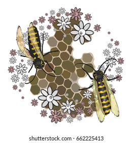 Bees collect honey. With transparent wings on a white background with honeycomb honeycombs and flowers. Vector illustration for your design.