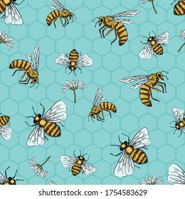 Bees and Daisies Spring Summer Vector Seamless Pattern