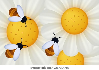 Bees with flowers 3d top view. Insects pollinate chamomile, daisies, gerberas. The process of collecting honey, nectar. Bee in the apiary, spring time, white flowers. Meadow or field. Vector.