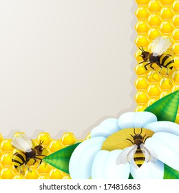 Bees with flowers over honeycomb background 