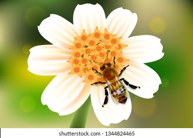 Bees fly around flower and take nectar and pollen on bokeh background.
