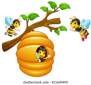 The bees fly out of a beehive hanging from a tree branch