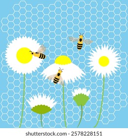 Bees fly over chamomile and collect pollen to make honey on a background with honeycombs. Flat vector illustration. EPS 10