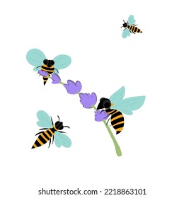 Bees flying around lavender making honey