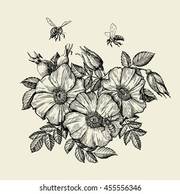 Bees flying to the flower. Hand drawn beekeeping. Vector illustration