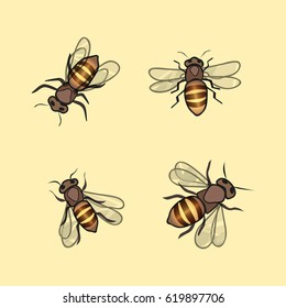 bees and honey