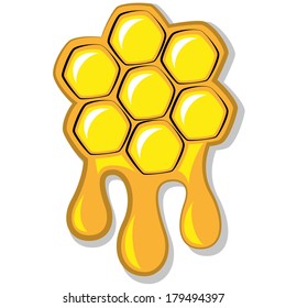 Bee's honeycomb full of honey, vector illustration