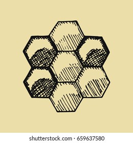 Bees honeycomb sketch. Hand drawing
