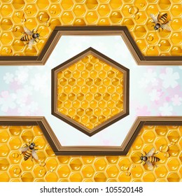 Bees and honeycombs