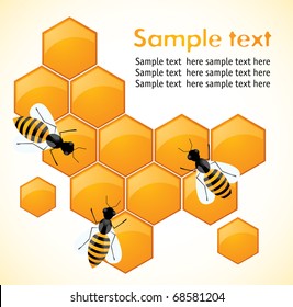 Bees and honeycombs