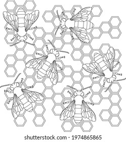 Bees in honeycombs. Anti-stress coloring book for children and adults. Black and white illustration. Insects.