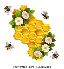 Bees, honeycombs and flowers  on white background