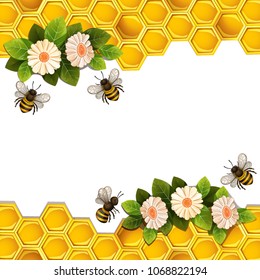 Bees, honeycombs and flowers  on white background