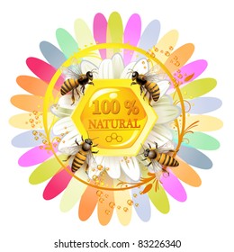 Bees and honeycombs over floral background isolated on white