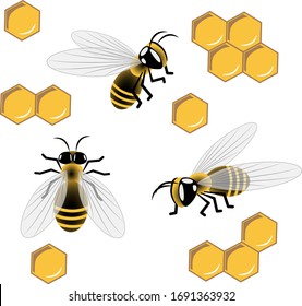 bees and honeycombs vector image