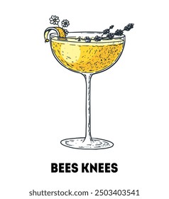 Bees Knees cocktail illustration. Hand drawn sketch. Vector illustration. Isolated object.
