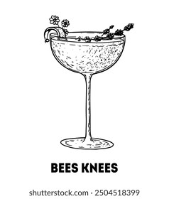 Bees Knees cocktail illustration. Hand drawn sketch. Vector illustration. Isolated object.