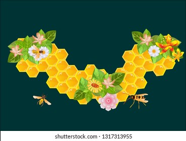 bees nest on black background