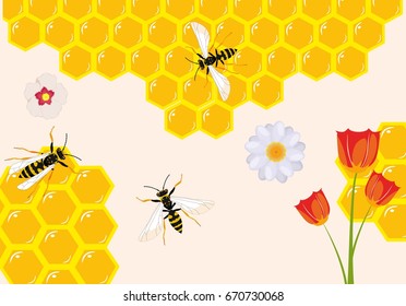 Bees on honey combs vector illustration