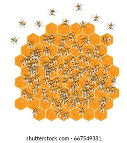 Bees on honeycombs background. 