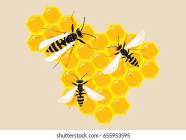 Bees on honeycombs vector illustration