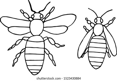 bees top view coloring page contour vector illustration for children

