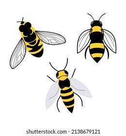 Bees vector illustration set, isolated illustration icons