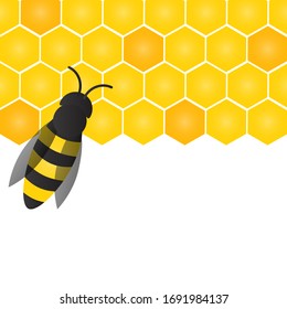 Bees, wasps and honeycombs with honey. Vector apiary and beekeeper template