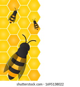 Bees, wasps and honeycombs with honey. Vector apiary and beekeeper template