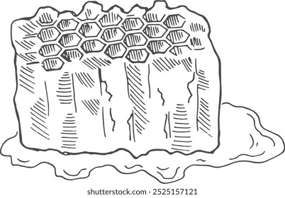 Beeswax sketch. Natural apiary product ink drawing