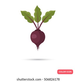 Beet agriculture crop. Color flat icon