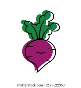 Beet. Beetroot with tops in doodle style. Autumn design element. Harvesting, gardening. Vegetables