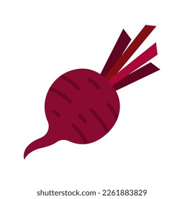 Beet or beets beetroot vegetable or radish icon. Vector illustration