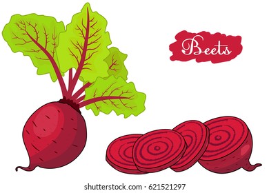 Beet. Beets With A Bundle Of Leaves. Pieces Of Beet. Useful Vegetables. Vegetarianism. Vector Illustration With White Background. The Drawing Hands.