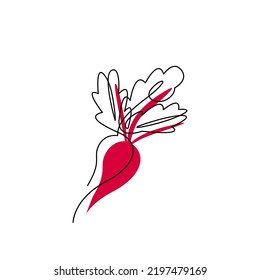Dessin de contour noir de betterave avec tache de couleur abstraite. Conception continue du concept végétal. Silhouette minimaliste au radis organique. Illustration vectorielle dessinée à la main sur une ligne à plat isolée en blanc
