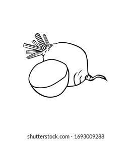 beet black and white vector illustration for all purpose.