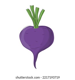 beet in cartoon style, beet isolated on white background