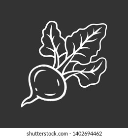 Beet chalk icon. Isolated vector chalkboard illustration