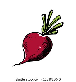 Beet colorful icon. Hand drawn black sketch. Sign symbol. Decoration element. White background. Isolated. Flat design. Vector illustration.