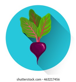 Icono de remolacha colorida Vegetable Ilustración Vectorial plana