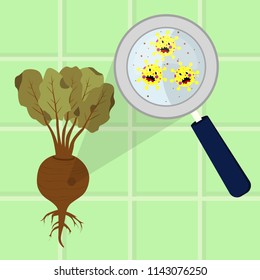 Beet contaminated with cartoon microbes being cleaned and washed in a kitchen. Microorganisms, virus and bacteria in the vegetable enlarged by a magnifying glass. Running tap water. Angry microbes.