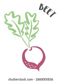 Beet drawing hand painted with ink brush isolated on white background. Vector illustration