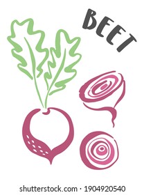 Beet drawing hand painted with ink brush isolated on white background. Vector illustration