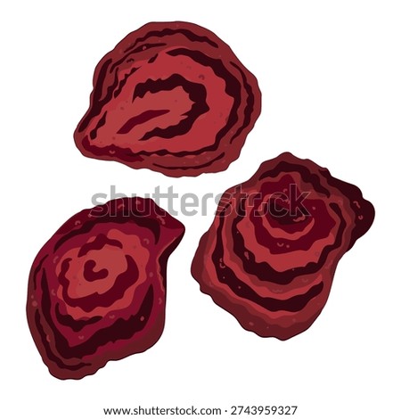 Beet dried chip set, a baked thinly slices of beetroot, vector illustration isolated on white
