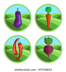 Beet, eggplant, carrot, pepper. Organic vegetables, round vector color badges or tags