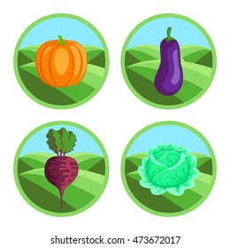 Beet, eggplant, pumpkin, cabbage. Organic vegetables, round vector color badges or tags